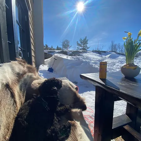 Fjellperlen, Hardangervidda * 戈登